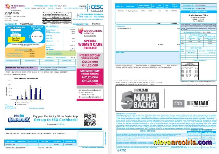 INDIA CESC LIMITED business utility bill
